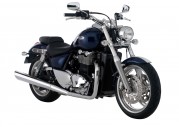 Triumph Thunderbird